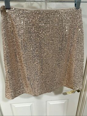 NWT Banana Republic Sequined Champagne Mini Skirt